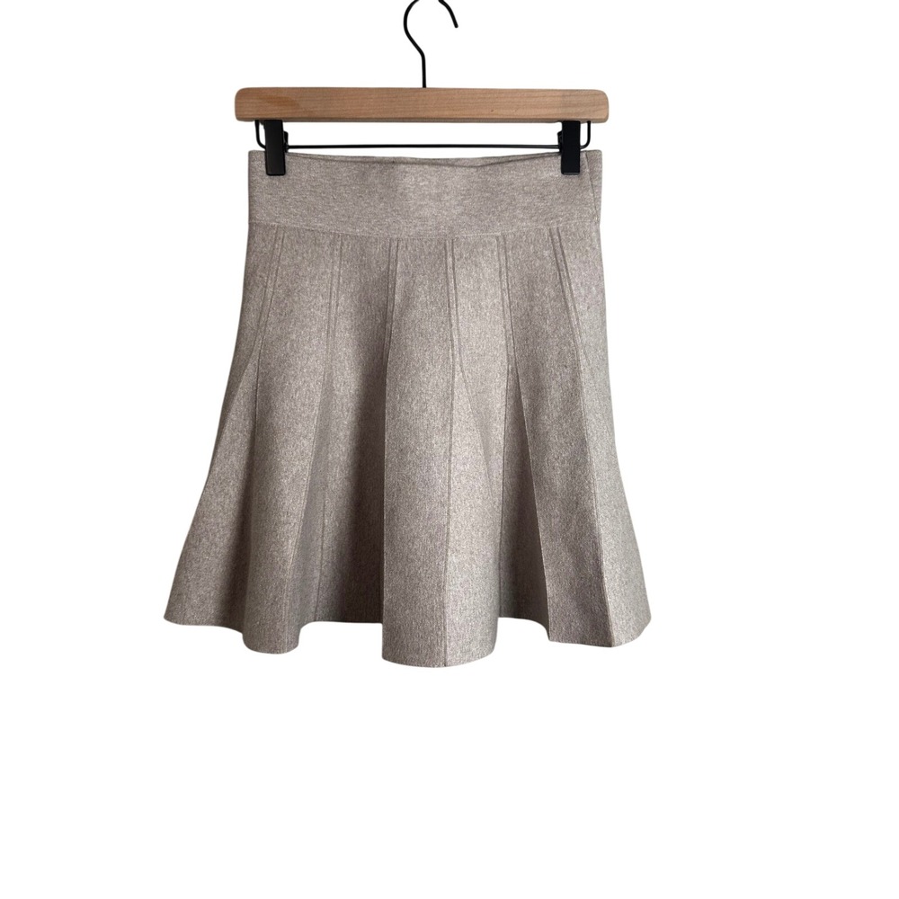 Club Monaco Metallic Silver Circle Skirt